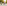 (low resolution)