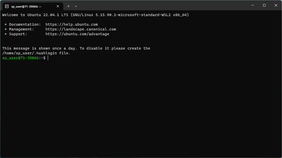 tools wsl2 shell en